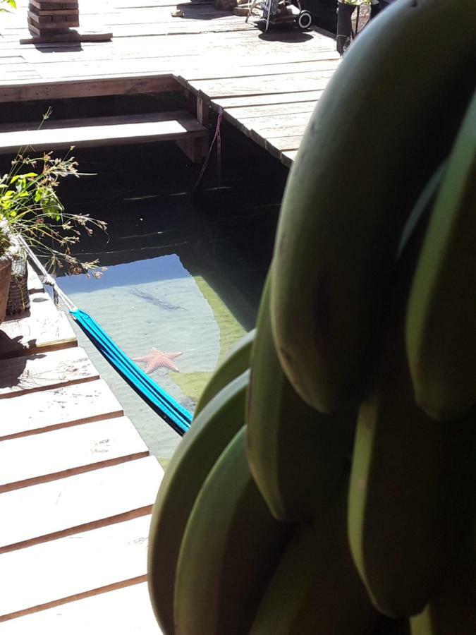 Life Is Good Villa Bocas del Toro Buitenkant foto